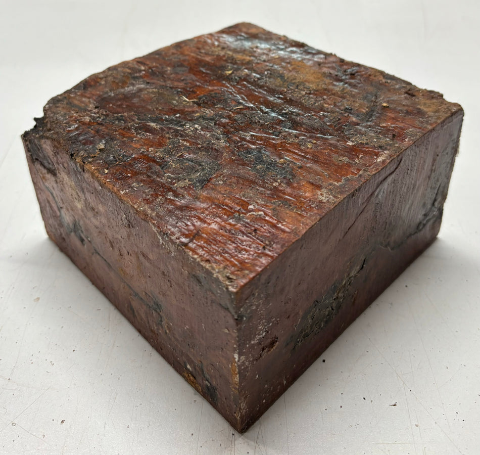 Molinillo de pimienta australiano Red Mallee en blanco 12" x 3" x 3", #23