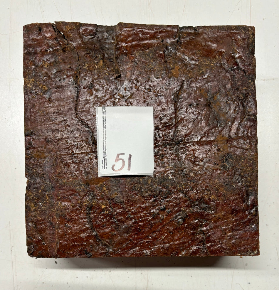 Molinillo de pimienta australiano Red Mallee en blanco 12" x 3" x 3", #23