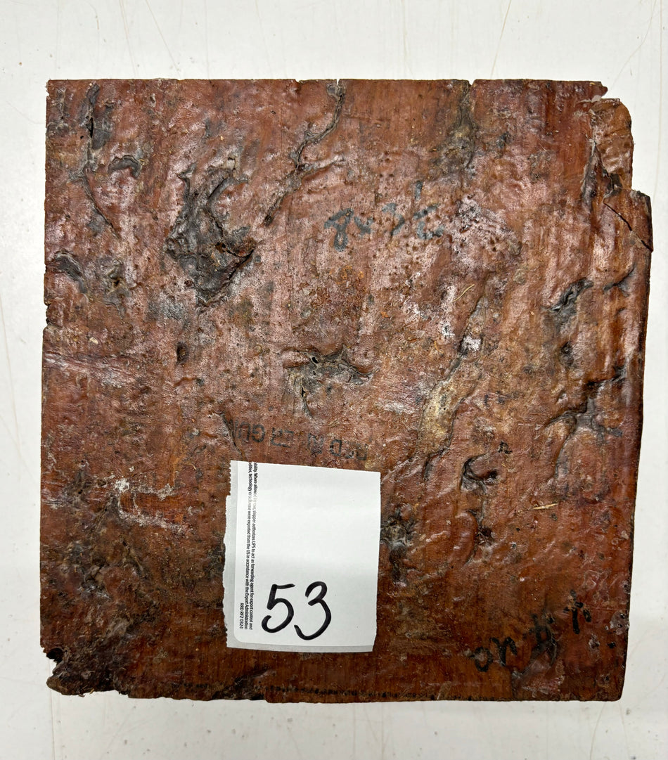 Molinillo de pimienta australiano Red Mallee en blanco 12" x 3" x 3", #23