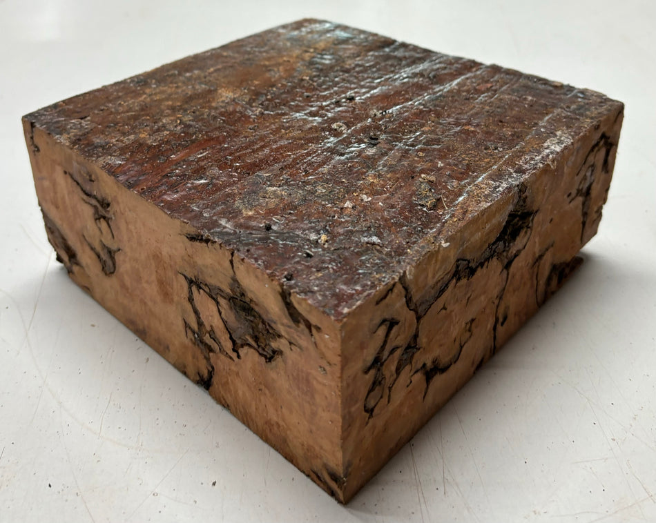 Molinillo de pimienta australiano Red Mallee en blanco 12" x 3" x 3", #23