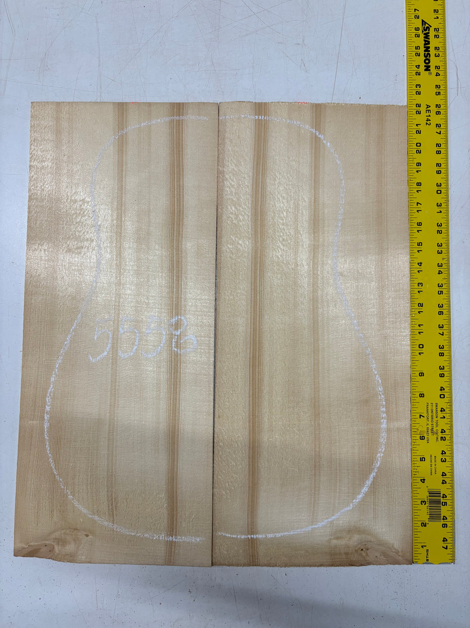 Engelmann Spruce Dreadnought Guitar Top 22" x 9" x 3/16" #5558