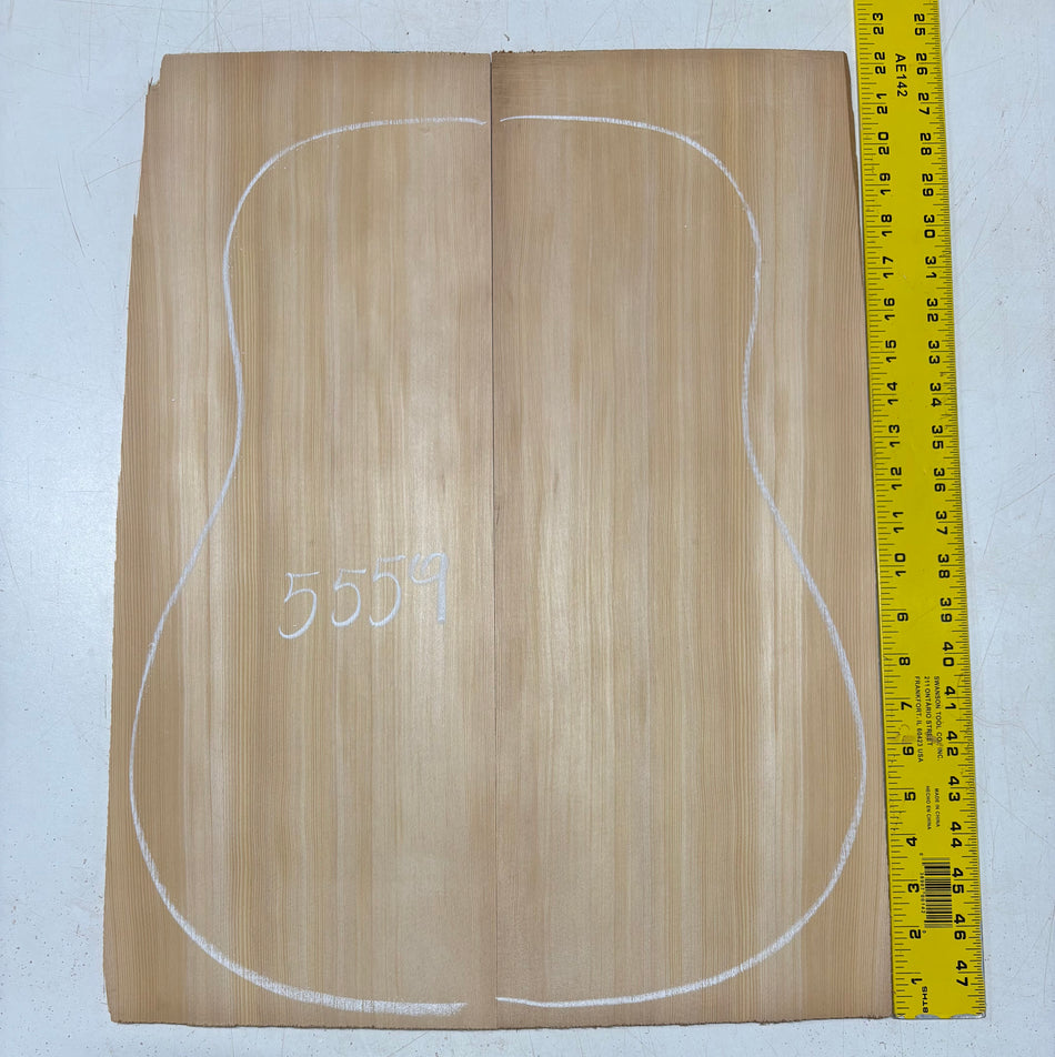 Sitka Spruce Dreadnought Guitar Top 22" x 8-1/2" x 3/16" #5559