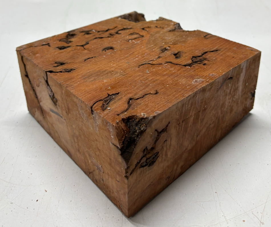 Molinillo de pimienta australiano Red Mallee en blanco 12" x 3" x 3", #23