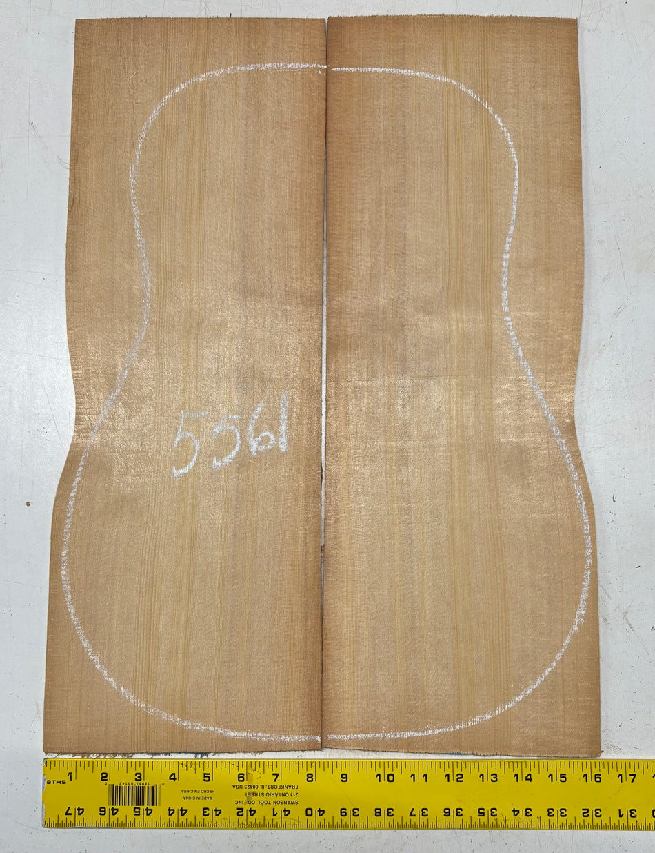 Sitka Spruce Classical Guitar Top 22" x 7-1/2" x 3/16" #5561
