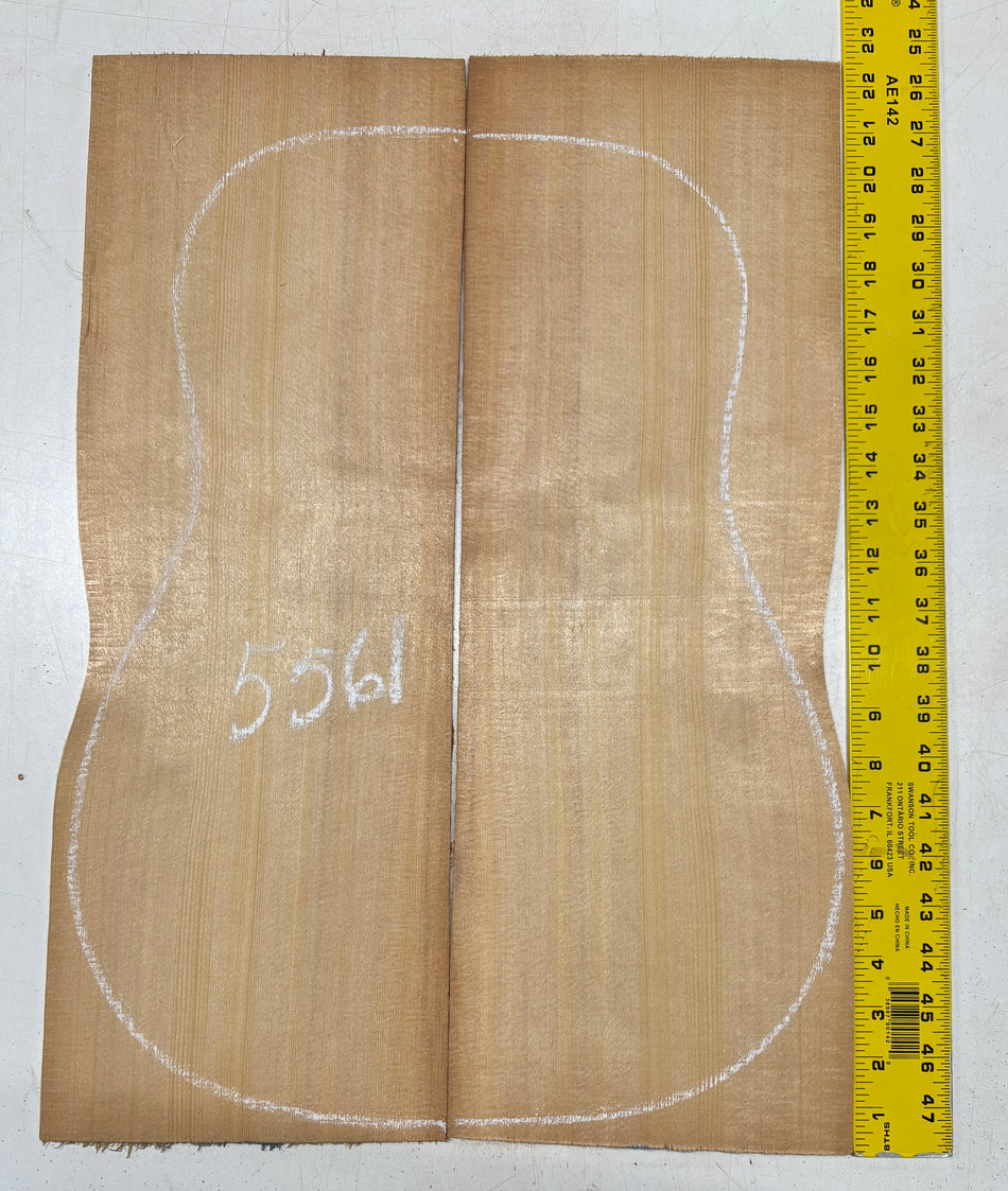 Sitka Spruce Classical Guitar Top 22" x 7-1/2" x 3/16" #5561