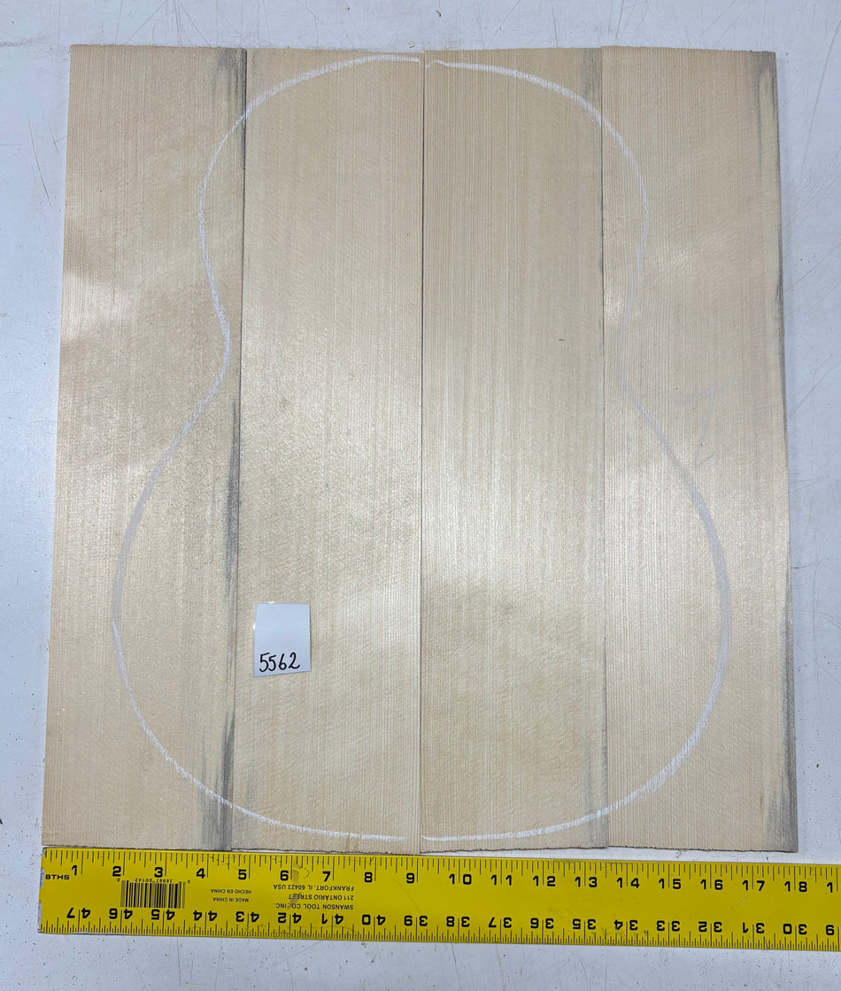 German Spruce 4 Piece Unglued Classical Guitar Top 20" x 4-1/2" x 3/16" #5562