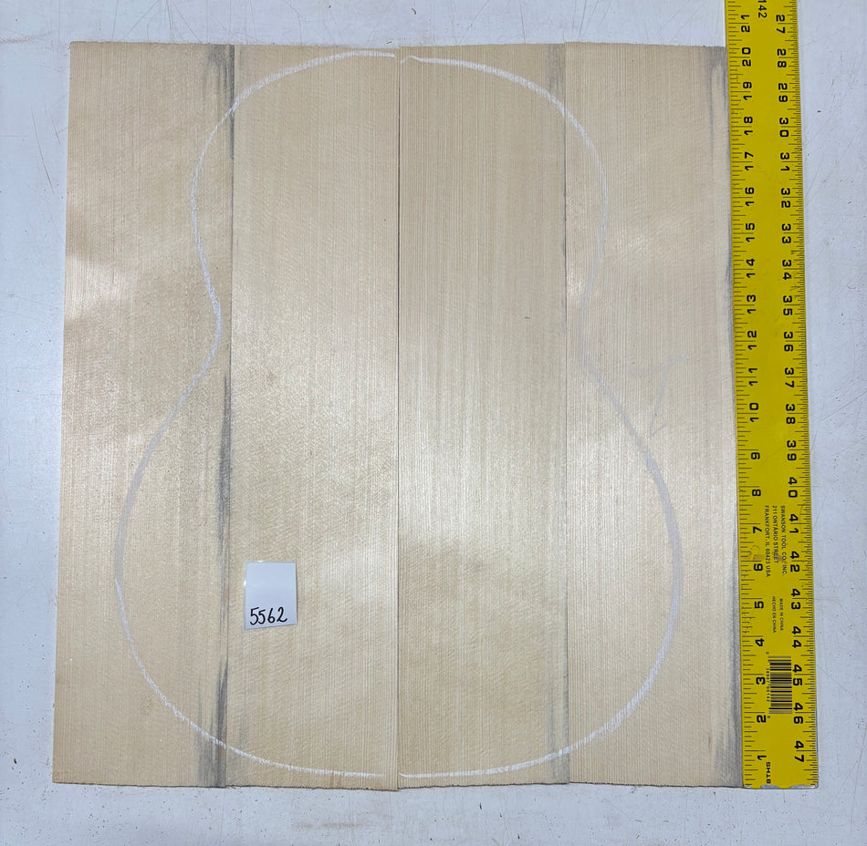 German Spruce 4 Piece Unglued Classical Guitar Top 20" x 4-1/2" x 3/16" #5562