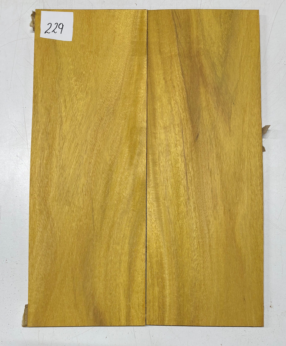 Osage Orange Guitar Drop Top 22" x 8" x 3/8" #229