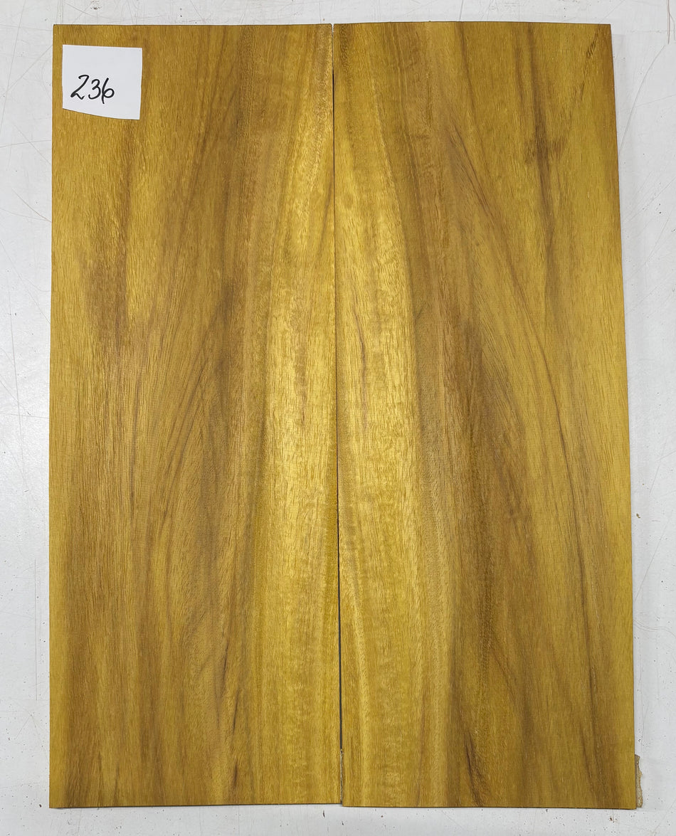 Osage Orange Guitar Drop Top 22" x 8" x 3/8" #236