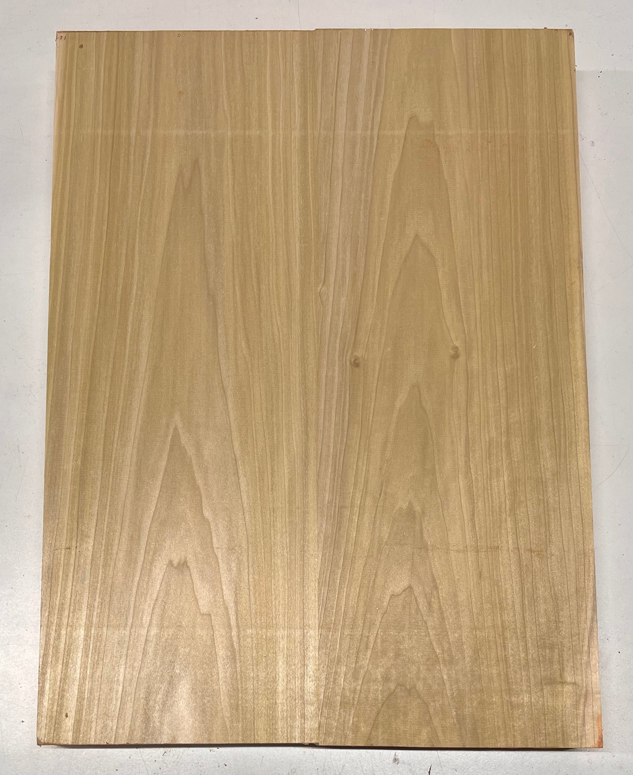 Yellow Poplar Guitar Body Blanks - 21" x 15-1/2" x 2", 12 Lbs #21 - Exotic Wood Zone - Buy online Across USA 