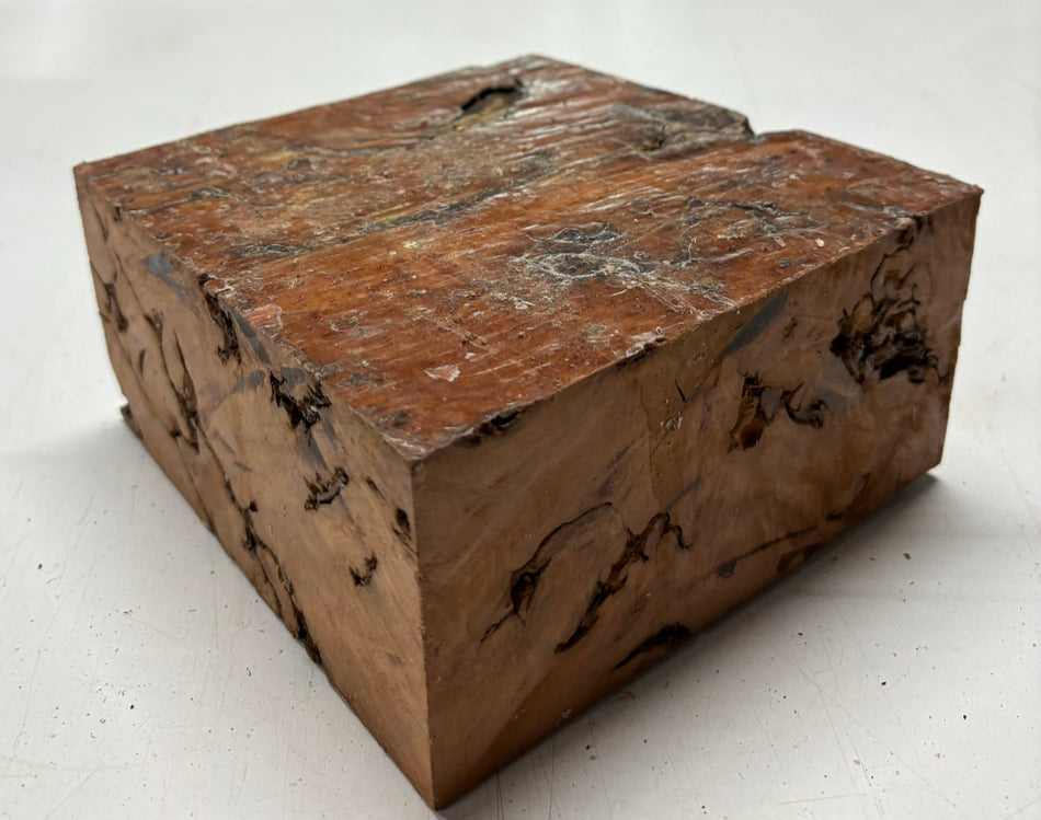 Molinillo de pimienta australiano Red Mallee en blanco 12" x 3" x 3", #23