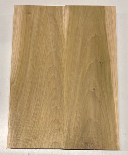 Yellow Poplar Guitar Body Blanks - 21" x 15-1/4" x 1-3/4", 12 Lbs #22 - Exotic Wood Zone - Buy online Across USA 