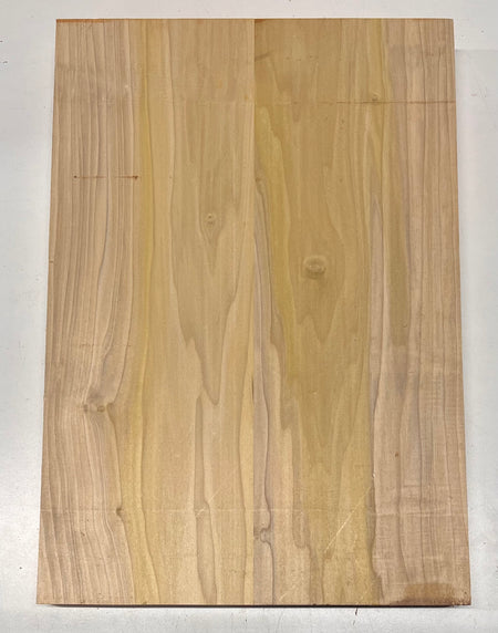 Yellow Poplar Guitar Body Blanks - 21" x 14-1/2" x 1-3/4", 11 Lbs #23 - Exotic Wood Zone - Buy online Across USA 