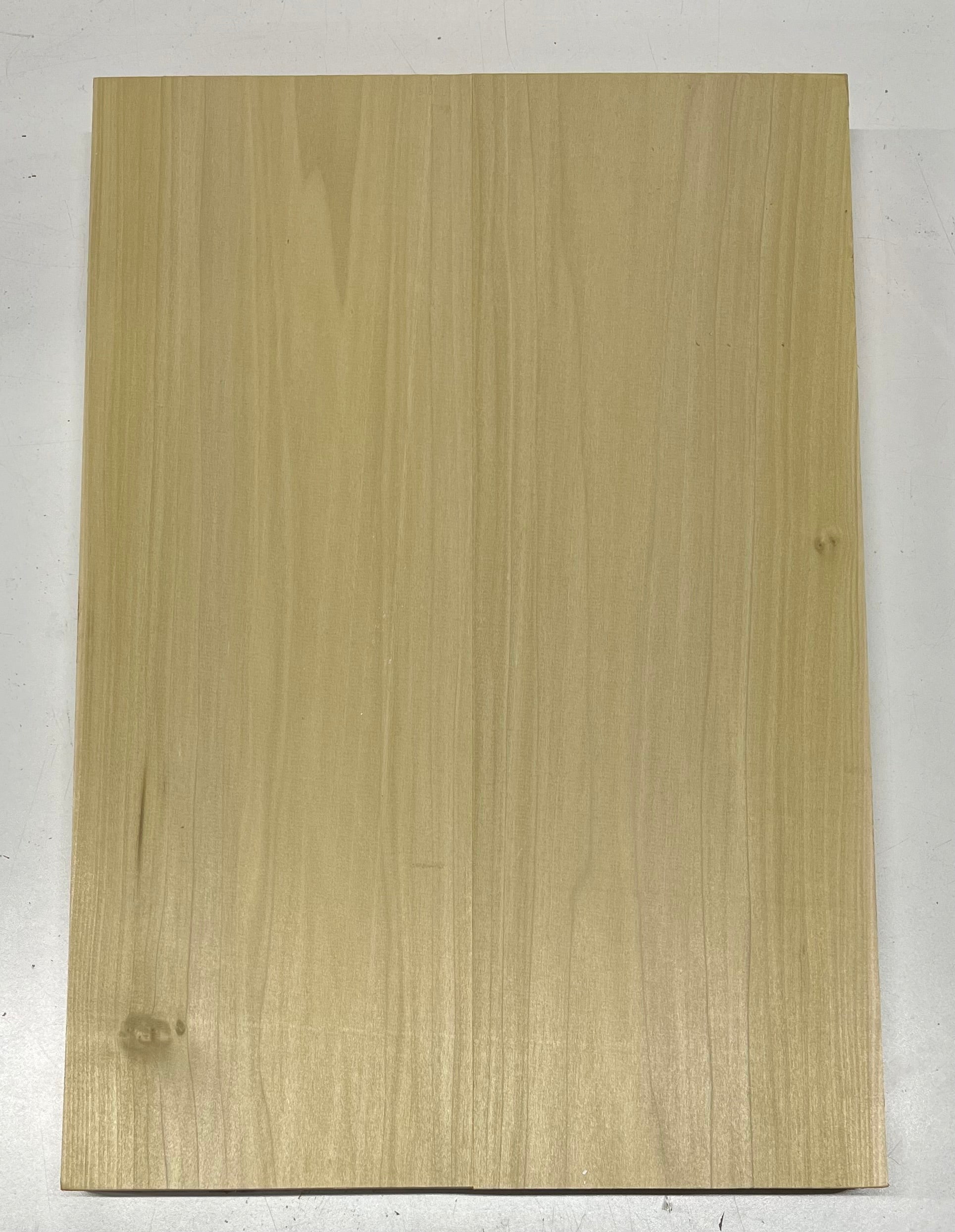 Yellow Poplar Guitar Body Blanks - 21" x 14-1/2" x 1-3/4", 10 Lbs #24 - Exotic Wood Zone - Buy online Across USA 