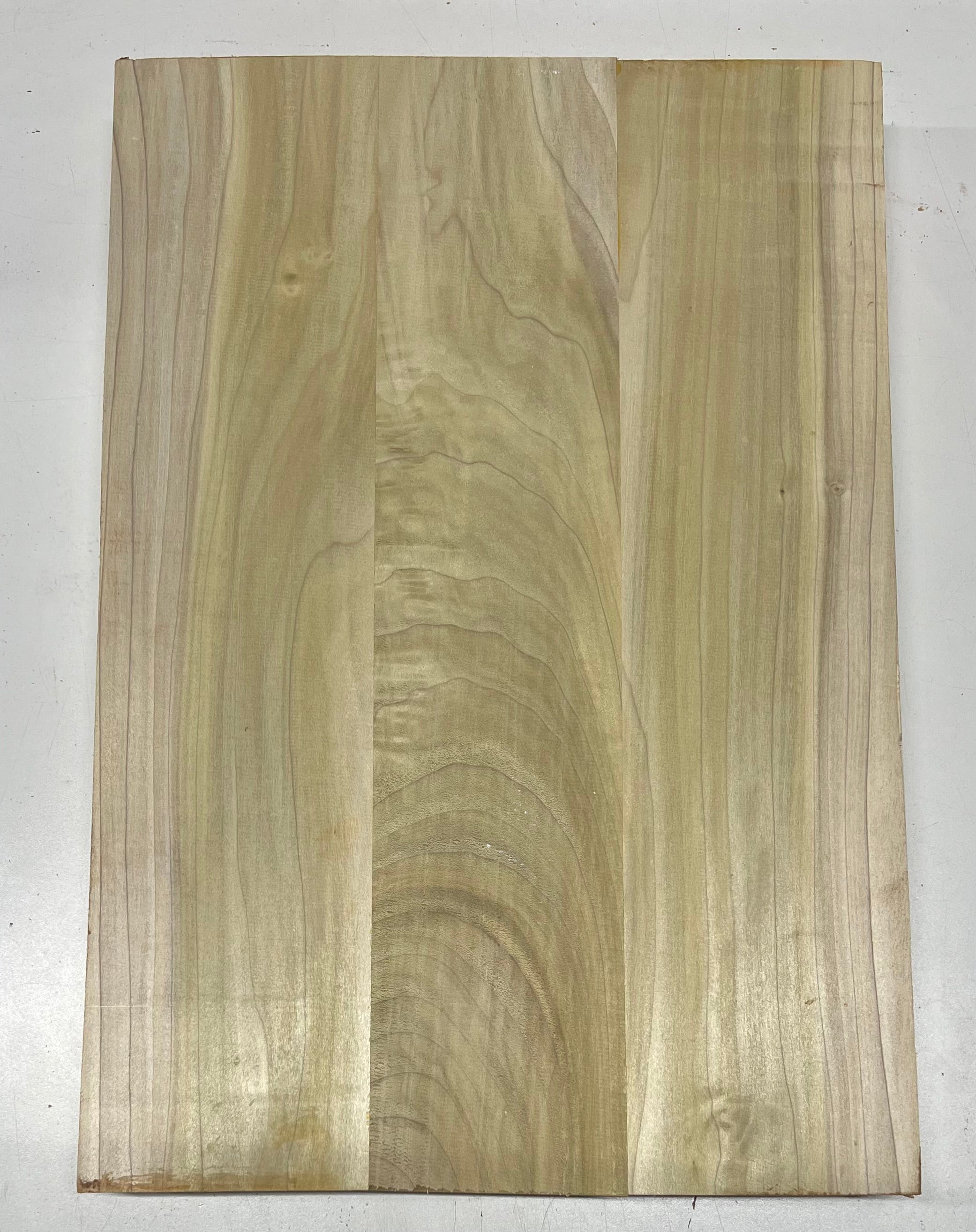 Yellow Poplar Guitar Body Blanks - 21&quot; x 14-3/8&quot; x 2&quot;, 11 Lbs 