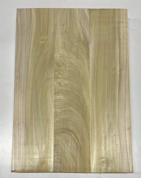 Yellow Poplar Guitar Body Blanks - 21" x 14-3/8" x 2", 11 Lbs #26 - Exotic Wood Zone - Buy online Across USA 