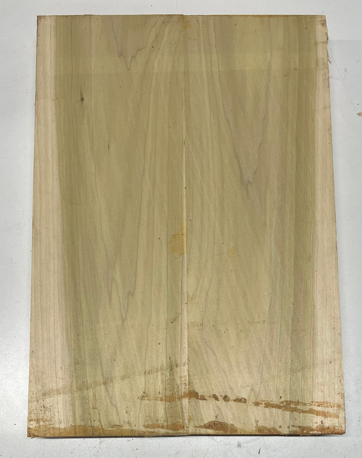 Yellow Poplar Guitar Body Blanks - 21" x 14-1/2" x 2", 12 Lbs #27 - Exotic Wood Zone - Buy online Across USA 