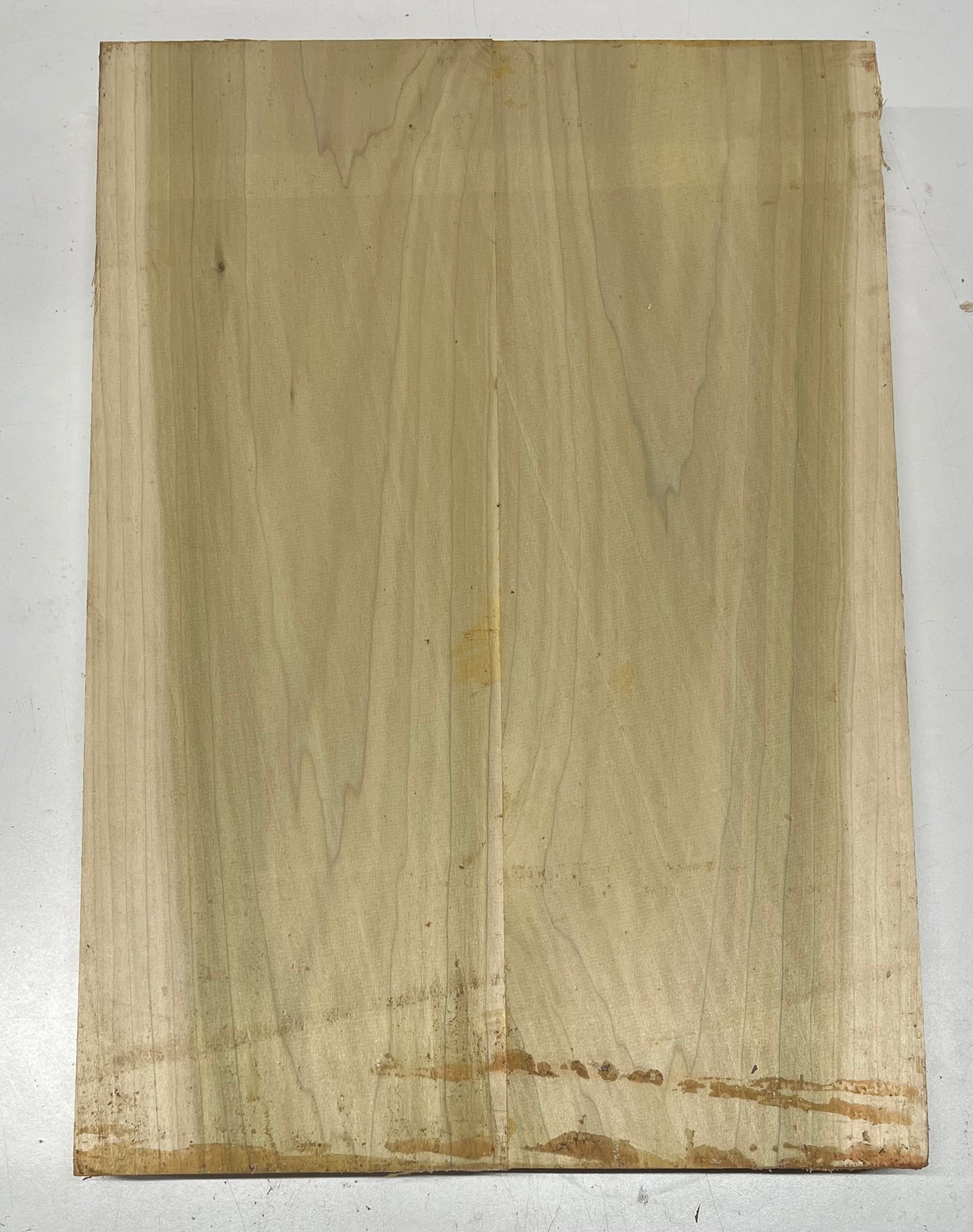 Yellow Poplar Guitar Body Blanks - 21" x 14-1/2" x 2", 12 Lbs #27 - Exotic Wood Zone - Buy online Across USA 