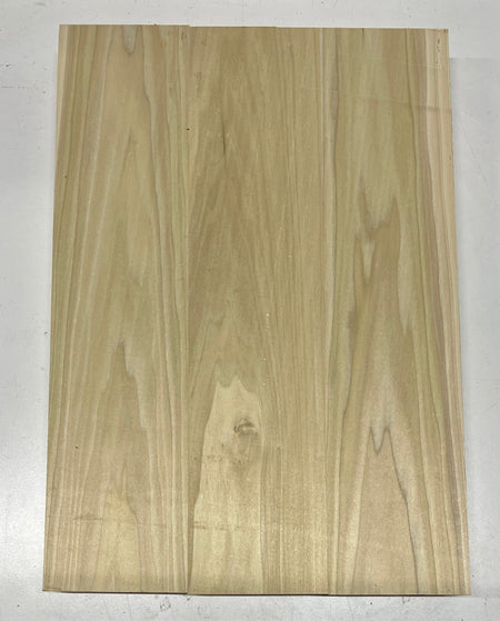 Yellow Poplar Guitar Body Blanks - 21" x 14-1/2" x 1-3/4", 10 Lbs #33 - Exotic Wood Zone - Buy online Across USA 