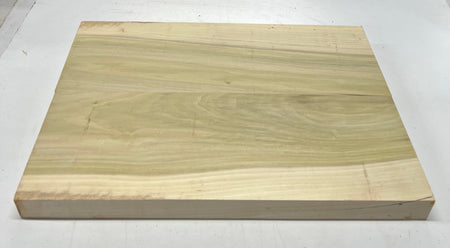 Yellow Poplar Guitar Body Blanks - 21" x 14" x 1-3/4", 11 Lbs #34 - Exotic Wood Zone - Buy online Across USA 