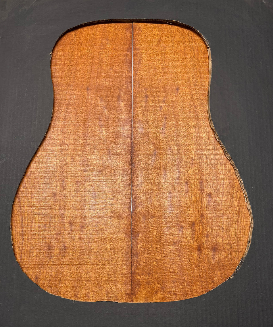 Juego de fondo y aros de guitarra de grado AAAA Dreadnought de palisandro de la India Oriental #61 