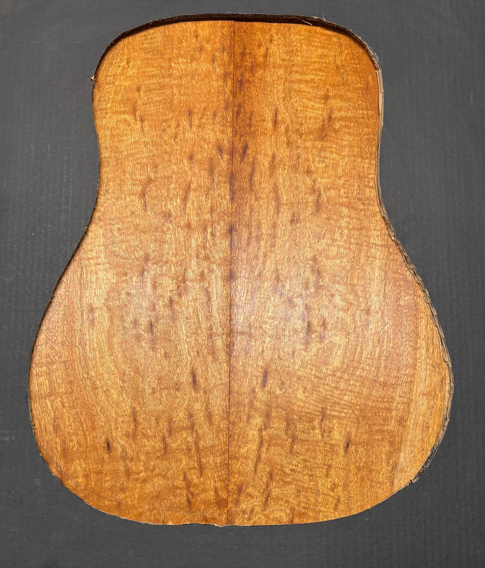 Juego de fondo y aros de guitarra de grado AAAA Dreadnought de palisandro de la India Oriental #61 