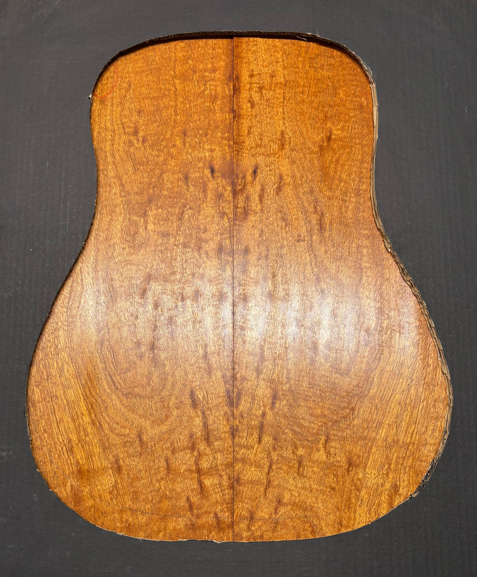 Juego de fondo y aros de guitarra de grado AAAA Dreadnought de palisandro de la India Oriental #61 