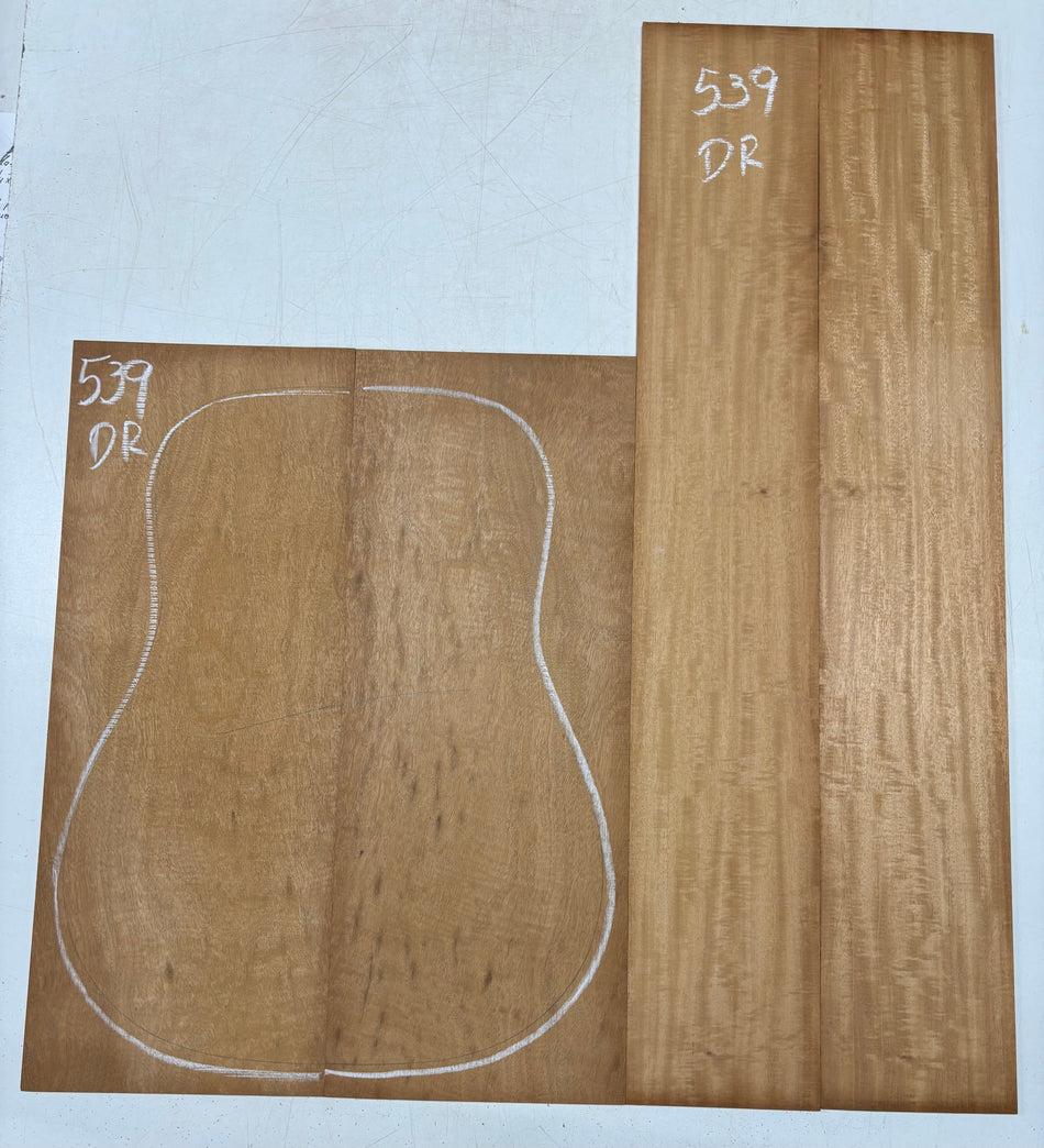 Juego de fondo y aros de guitarra de grado AAAA Dreadnought de palisandro de la India Oriental #61 