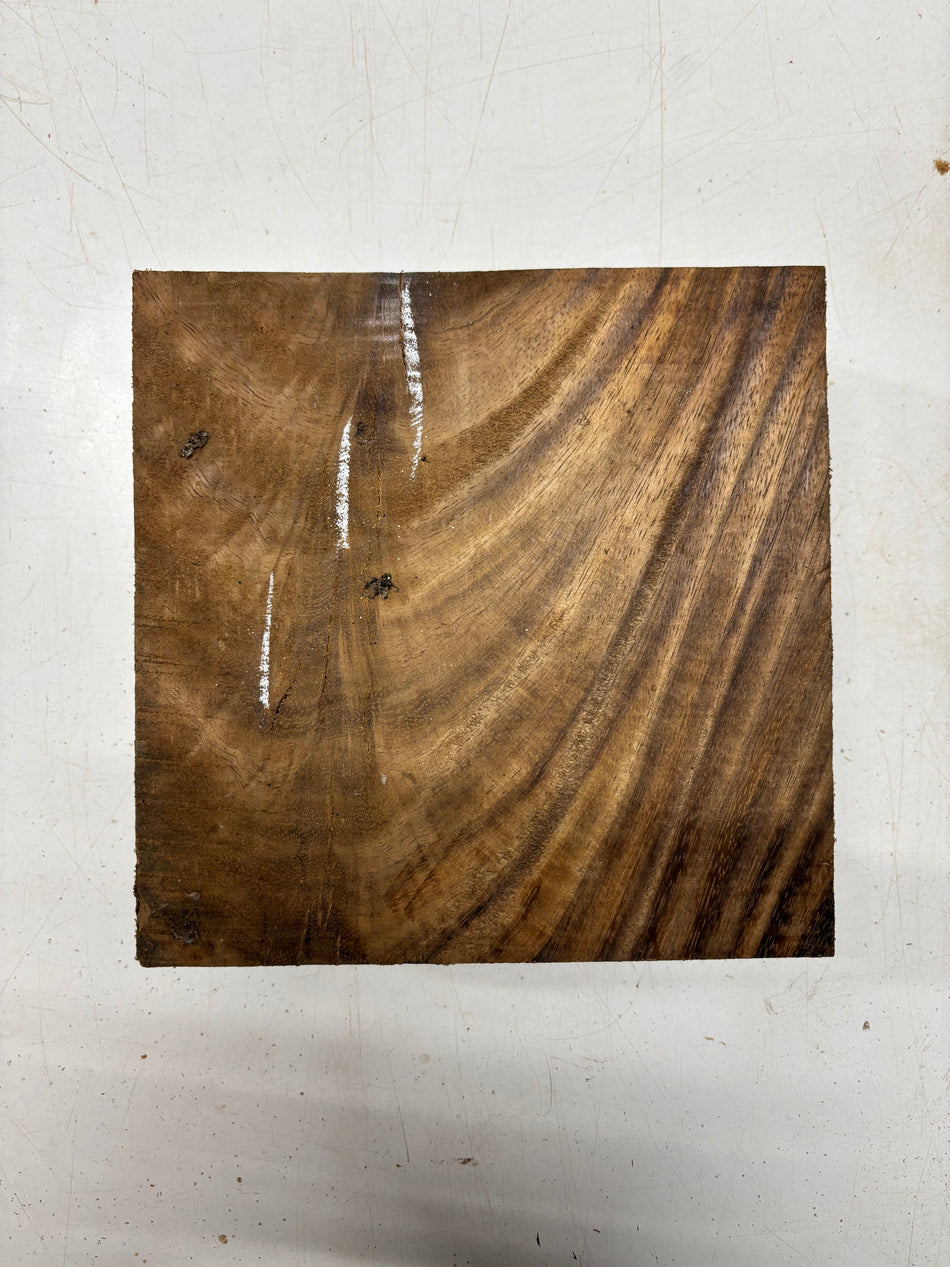 1 Piece, Indian Walnut Bowl Blank 8"x8"x3"#6508