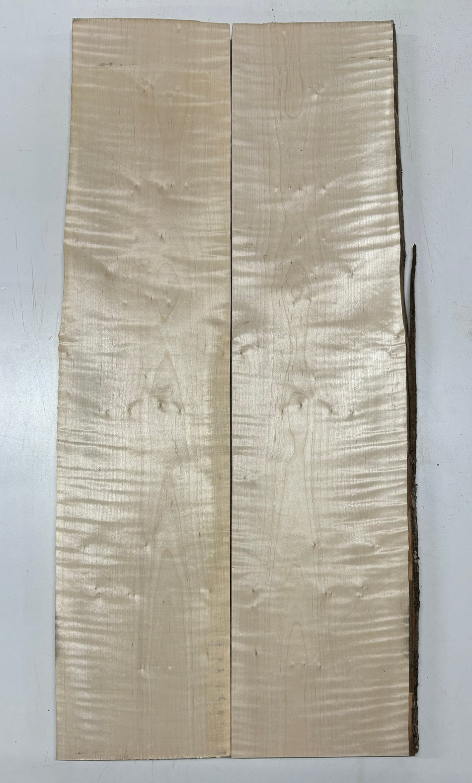 Hermosas y raras losas/galletas de borde vivo de madera negra africana - 24"x24-1/2"x3", #220