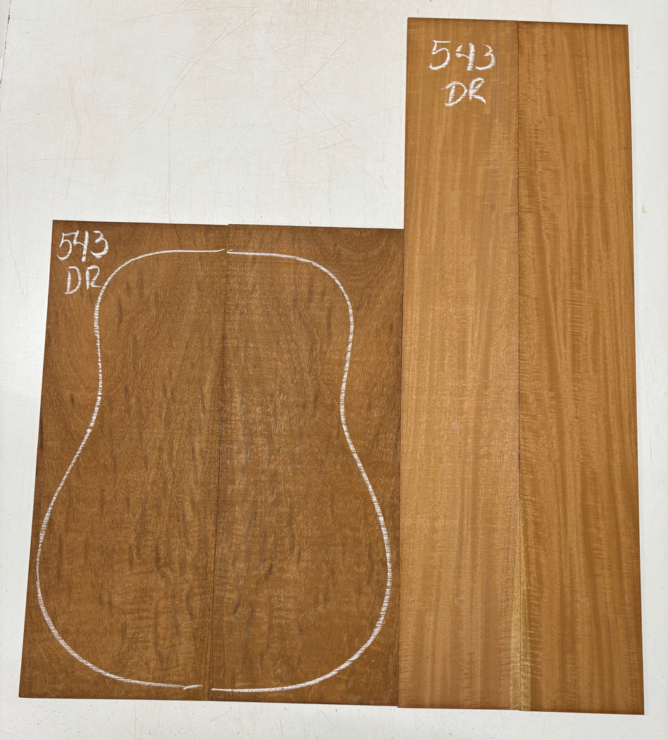 Juego de fondo y aros de guitarra de grado AAAA Dreadnought de palisandro de la India Oriental #61 