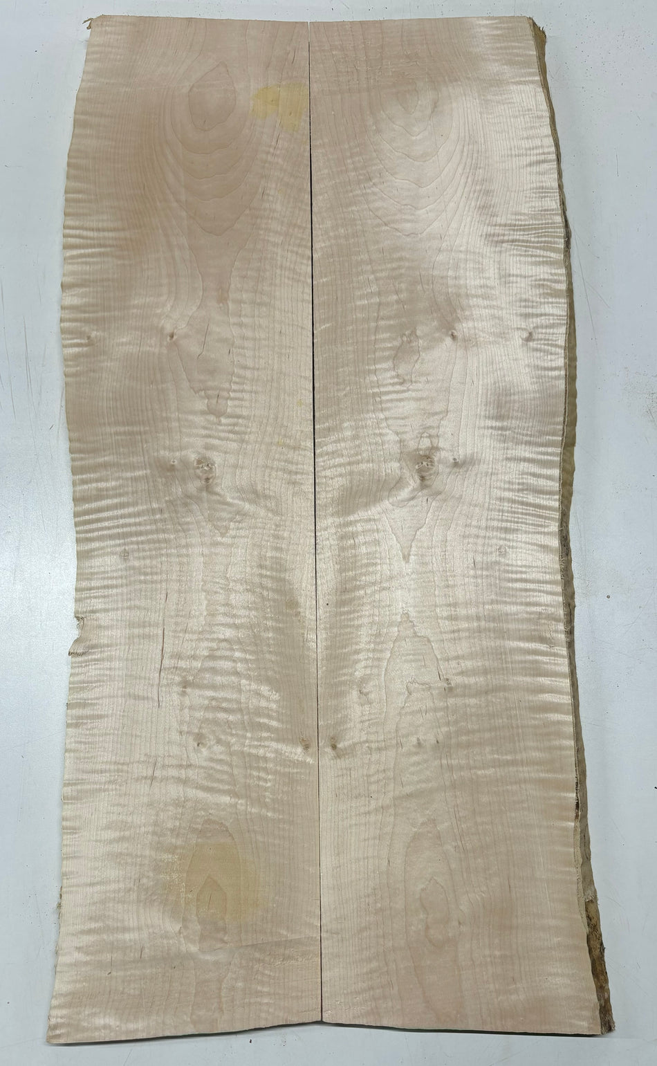 Hermosas y raras losas/galletas de borde vivo de madera negra africana - 24"x24-1/2"x3", #220