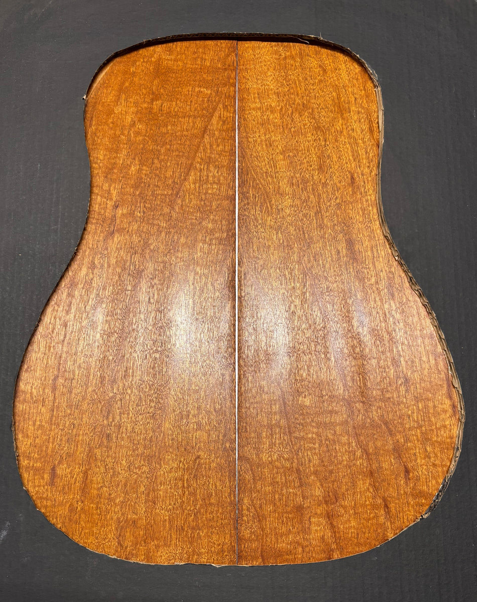 Juego de fondo y aros de guitarra de grado AAAA Dreadnought de palisandro de la India Oriental #61 