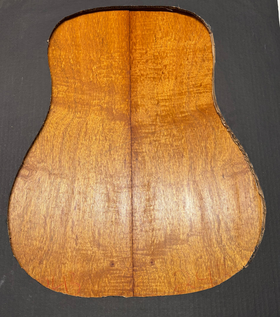 Juego de fondo y aros de guitarra de grado AAAA Dreadnought de palisandro de la India Oriental #61 