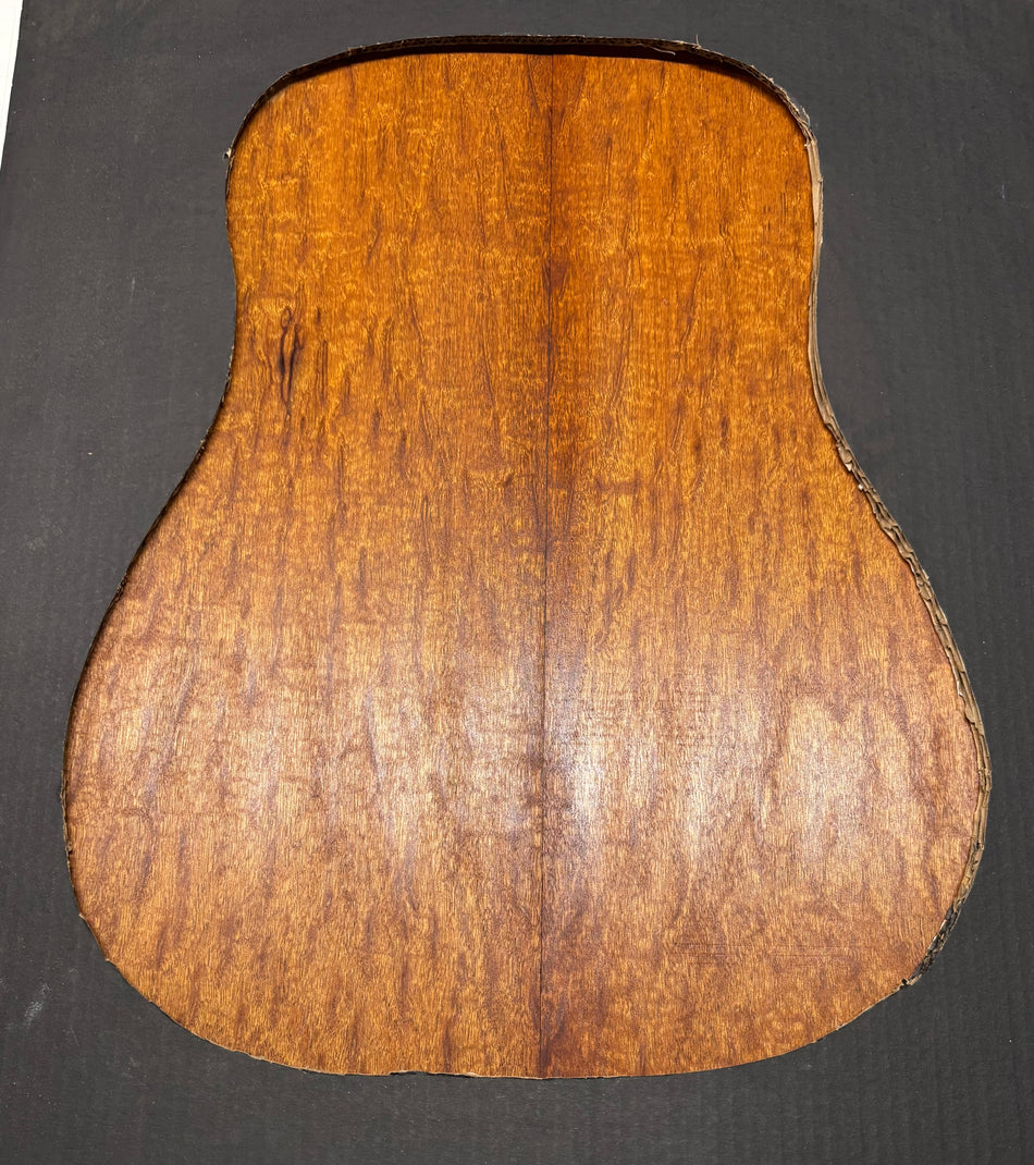 Juego de fondo y aros de guitarra de grado AAAA Dreadnought de palisandro de la India Oriental #61 