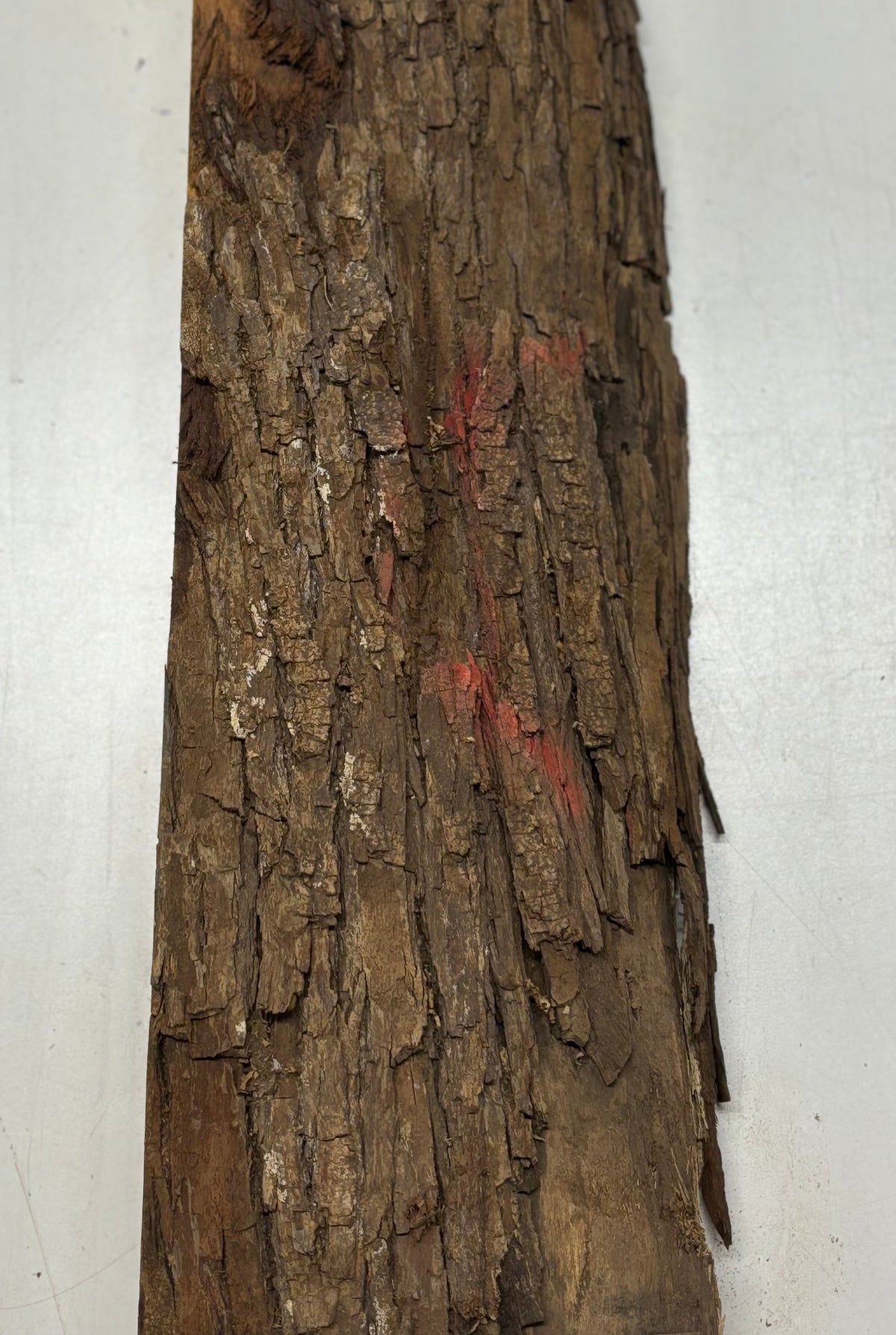 Flame Hawaiian Koa Lumber Live Edge Slab - 48" x 7" x 5" #209 Exotic Wood Zone 