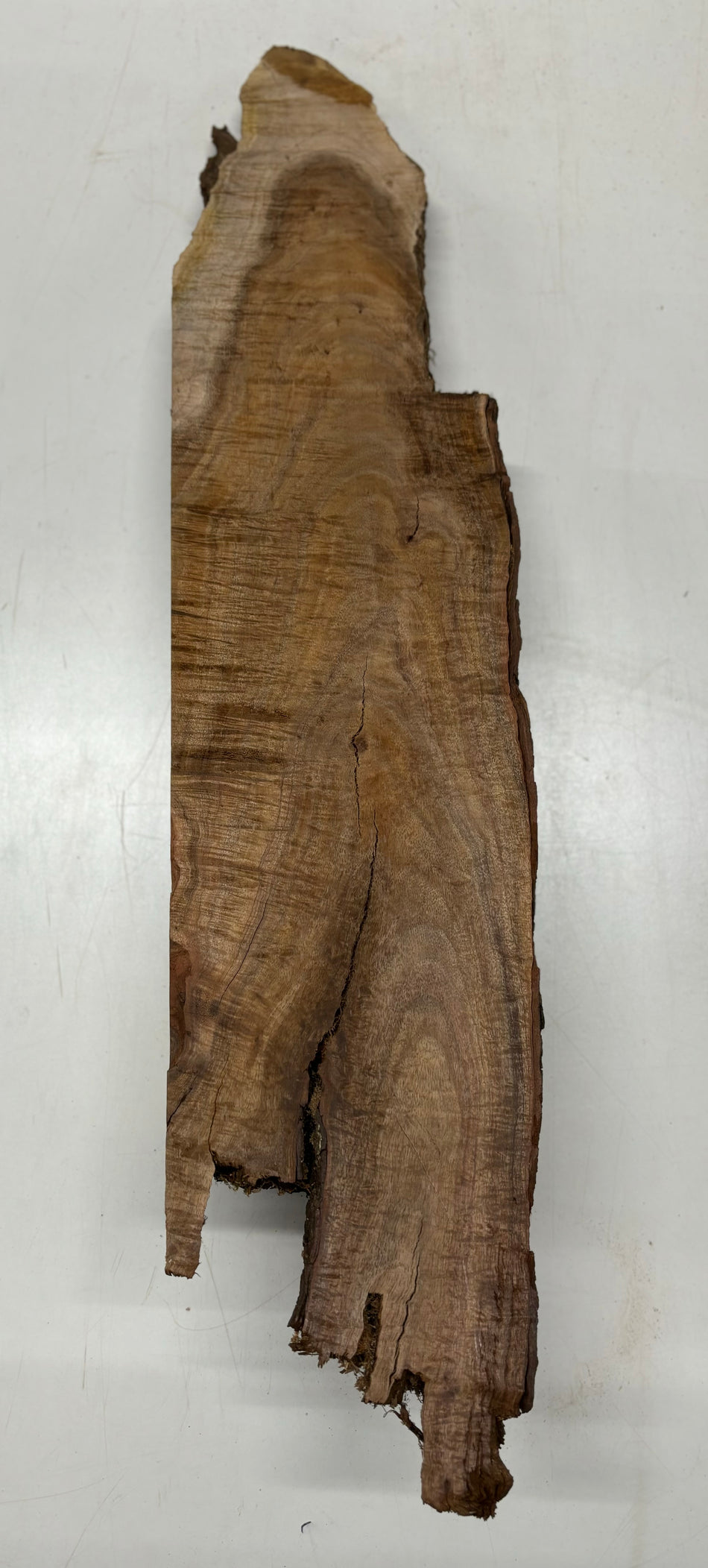 Hermosas y raras losas/galletas de borde vivo de madera negra africana - 24"x24-1/2"x3", #220