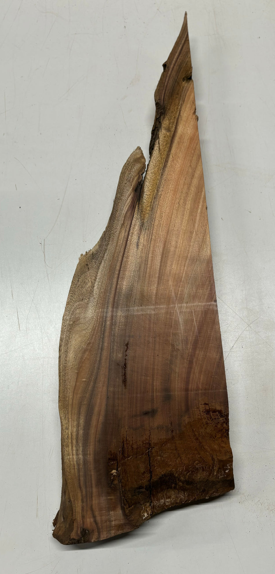 Hermosas y raras losas/galletas de borde vivo de madera negra africana - 24"x24-1/2"x3", #220