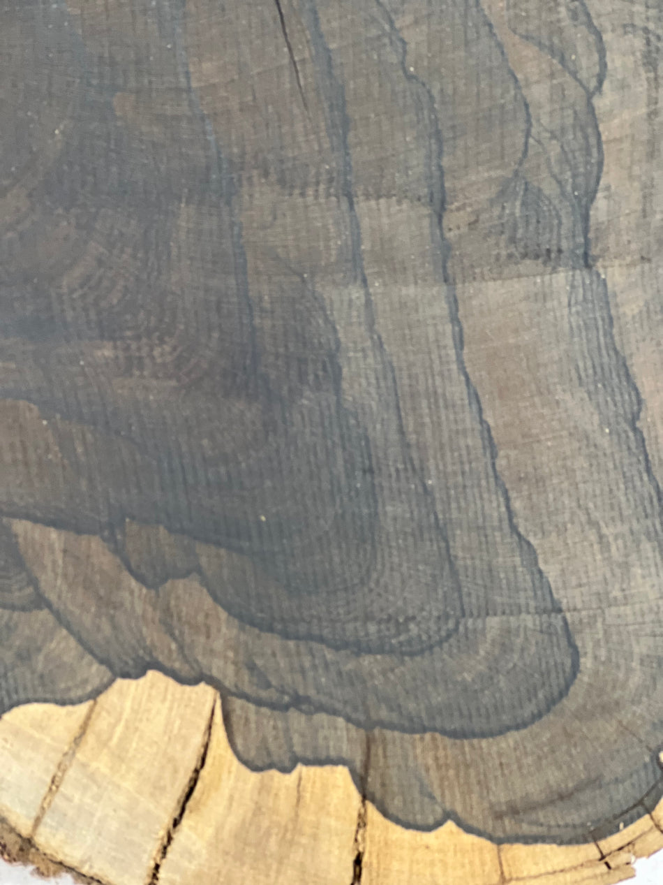 Ziricote Live Edge Slab/Cookies - 14"x 11"x 2" #221