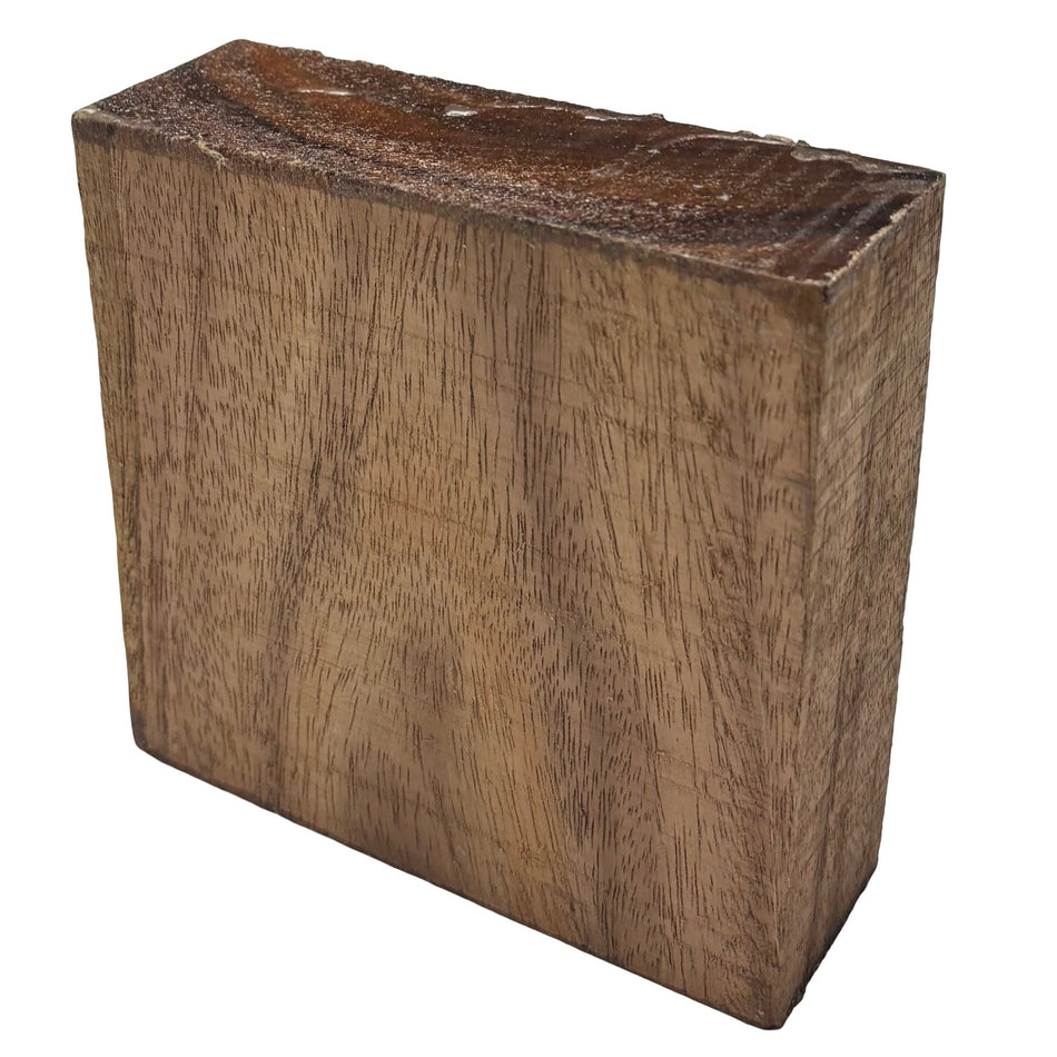 Indian walnut Wood Bowl Blank