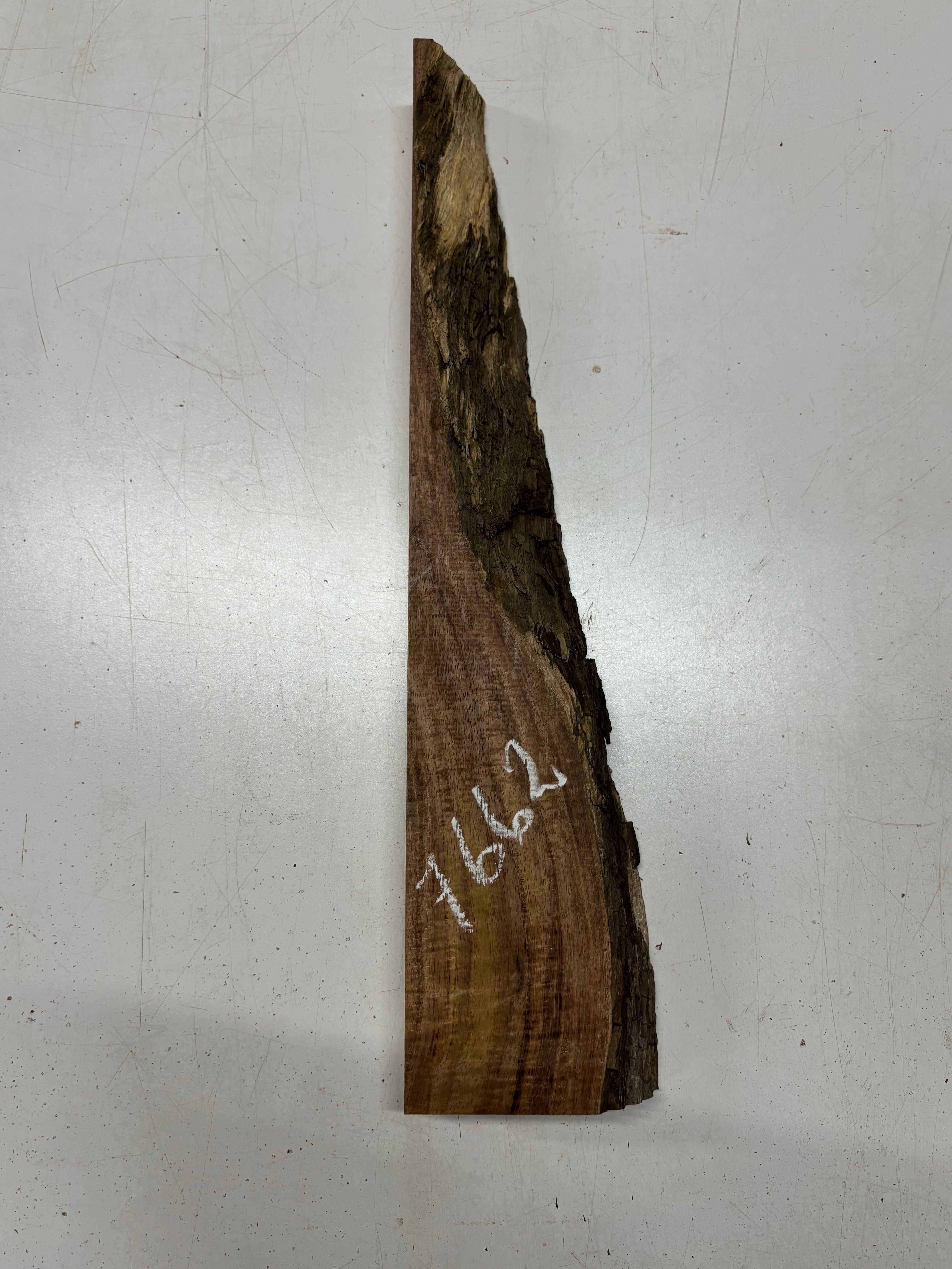 1 Piece, Koa Live Edge Blank  21"x1"-3"x2" #7662 - Exotic Wood Zone