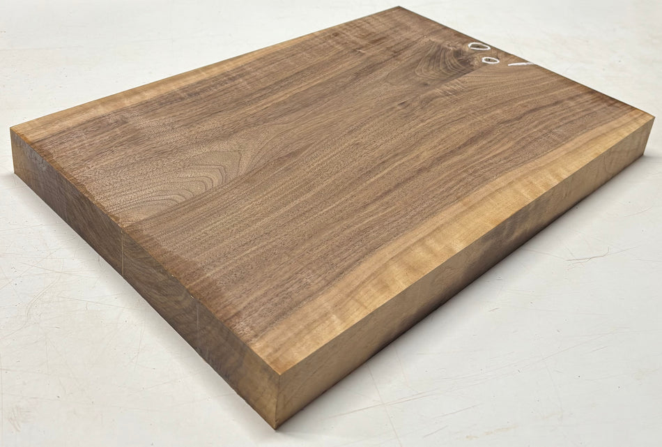 Black Walnut Guitar Body Blank - 21" x 14-1/8" x 1-7/8", 12 Lbs (2 Pcs Glued) #701