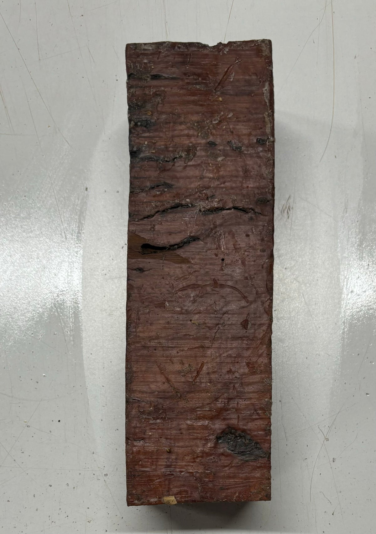 Australian Red Mallee Pepper Mill Blank 9" x 3" x 3" #402 Exotic Wood Zone 