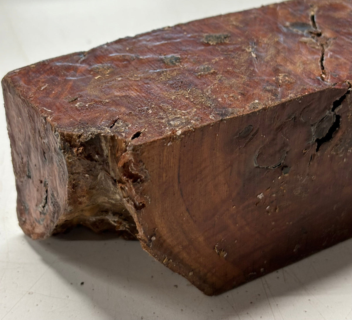 Australian Red Mallee Pepper Mill Blank 9" x 3" x 3" #404 Exotic Wood Zone 