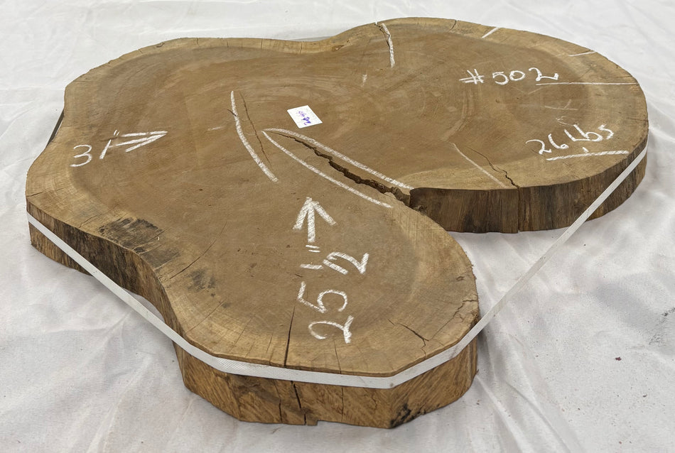 Wild Jack Live Edge Slab/Cookies - 31" x 25-1/2" x 2-1/4" #502