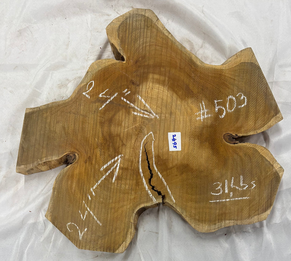 Wild Jack Live Edge Slab/Cookies - 24" x 24" x 2-1/4" #503