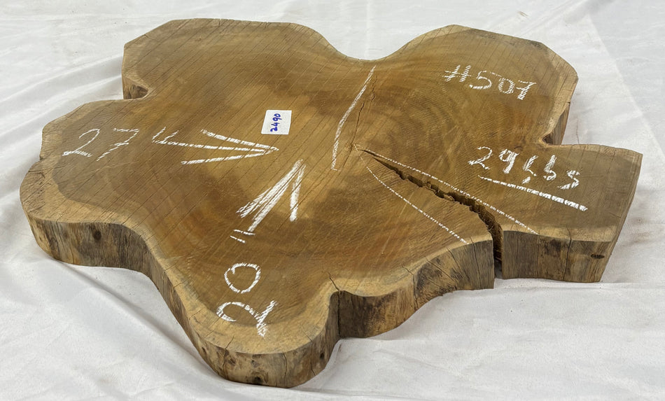 Wild Jack Live Edge Slab/Cookies - 27" x 20" x 2-1/4" #507
