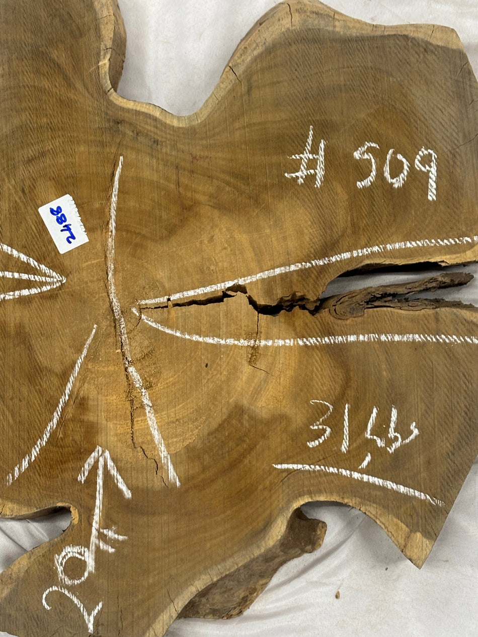 Wild Jack Live Edge Slab/Cookies - 28" x 20" x 2-1/2" #509