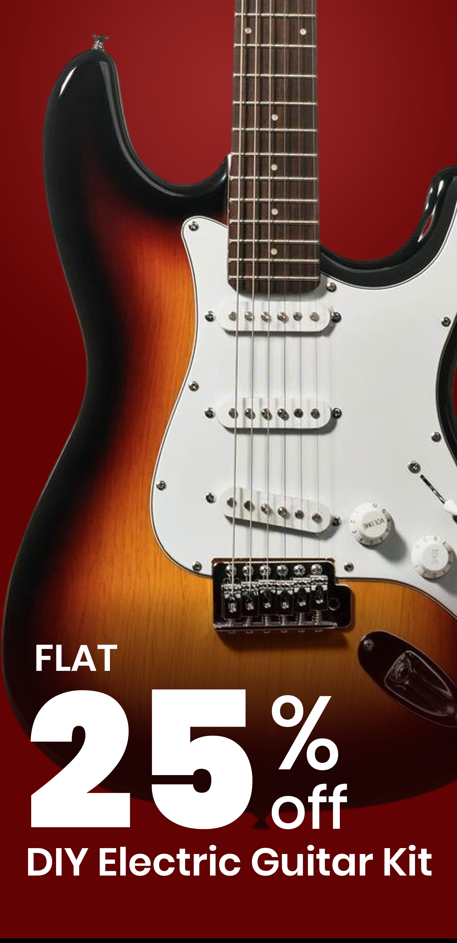 DIY guitar kits on sale