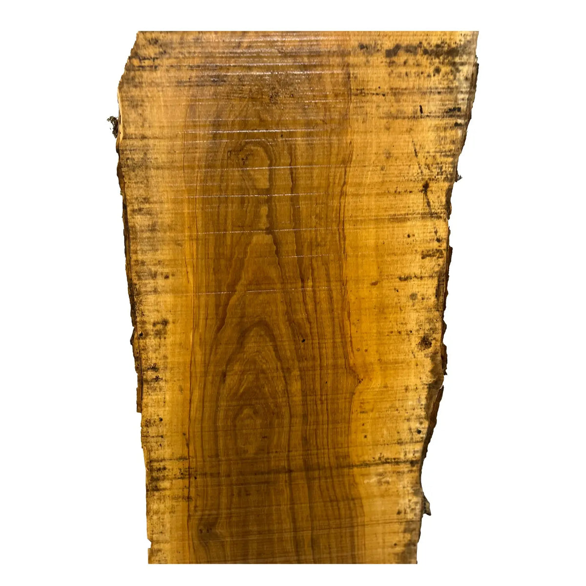 Beautiful Olivewood Live Edge Slab - 73-1/8" x 12" x 1", #133 - Exotic Wood Zone - Buy online Across USA 